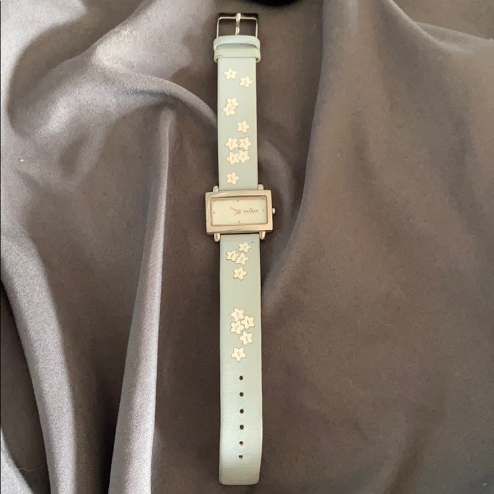 Skagen Watch